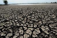 ВОЗ: изменение климата приведет к 250 тыс. дополнительных смертей за год