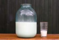 Запрета пока не будет: молоко у населения продолжат закупать еще несколько лет