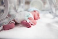 В прошлом году в акушерских стационарах оставили около 330 новорожденных
