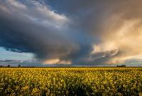 В Украину идет непогода с грозами и сильным ветром