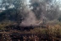 В Черниговской области потушили тлеющий торф через месяц после начала пожара