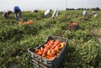 Польша ослабила карантинные требования для сезонных рабочих из Украины