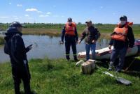 В Ивано-Франковской области спасли лебедя без крыла