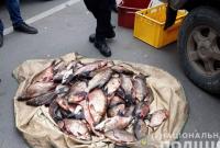 В Черниговской области в браконьерстве разоблачили сотрудников рыбоохраны