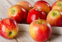 Переробники яблук можуть зупинити закупівлі через зростання цін