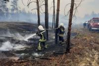 На пожарах в Луганской области обнаружили останки трех человек