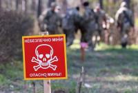 Украина рассказала в ОБСЕ о российских противопехотных минах на Донбассе