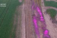 Розовые лужи в поле возле Ровно: спасатели определили, что это за жидкость и опасна ли для людей