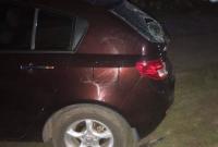 В Донецкой области пьяный водитель травмировал двоих детей и сбил насмерть отца