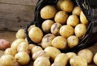 В Україні зросли ціни на картоплю