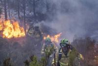 Пожар на юге Испании: огонь приблизился к заповеднику