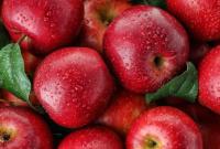 Ціни на яблука рекордно упали