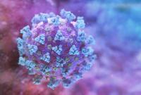 ВОЗ заявляет о расширении географии новых штаммов коронавируса