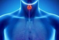 Здоровье щитовидной железы: 8 золотых правил