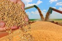 Україна зменшила темпи експорту зерна