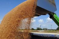 Украина установила новый рекорд экспорта зерновых