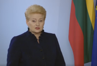 Президент Литвы на украинском языке призвала украинцев хранить единство на пути реформ (видео)