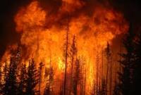 Синоптики предупредили о угрозе пожаров по Украине