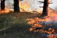 Рятувальники попереджають про пожежну небезпеку на вихідні