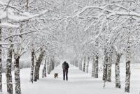 В Україні випаде до 40 см снігу протягом 17-19 березня