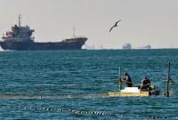 В ООС сообщили, как защищают побережье Азовского моря