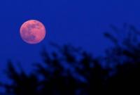 Цветочная Луна. В ночь на 19 мая в Украине можно было наблюдать необычное полнолуние