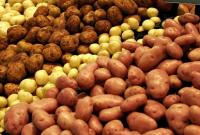 В 2019 году украинцев ждет ценовой бум на картофель