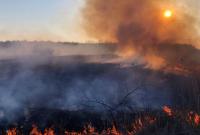 Пожар возле Припяти и Чернобыля полностью ликвидирован