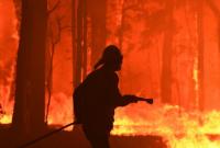 ГСЧС: из-за теплой зимы количество природных пожаров в Украине увеличилось на 25%