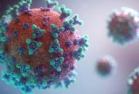 Ученые нашли скрытый механизм воздействия коронавируса на тело