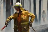 Лесные пожары в Австралии: МИД проверяет, могут ли быть украинцы среди пострадавших