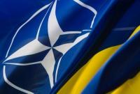 Кабмин утвердил план мероприятий годовой нацпрограммы Украина-НАТО