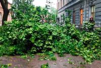 В результате сильной бури во Львове пострадал человек