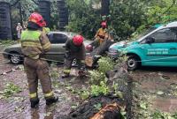 Задержка поездов, поваленные деревья и пострадавший: последствия непогоды на западе Украины