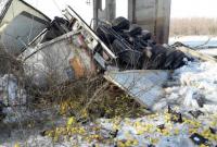 В Черниговской области грузовик упал с моста в Десну, водитель-иностранец погиб